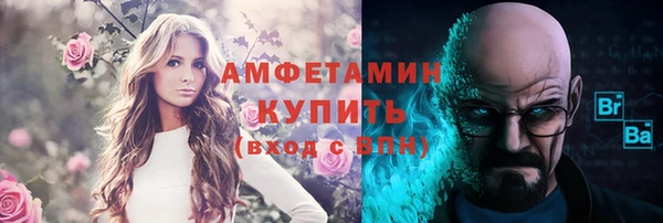 молекула духа Елабуга