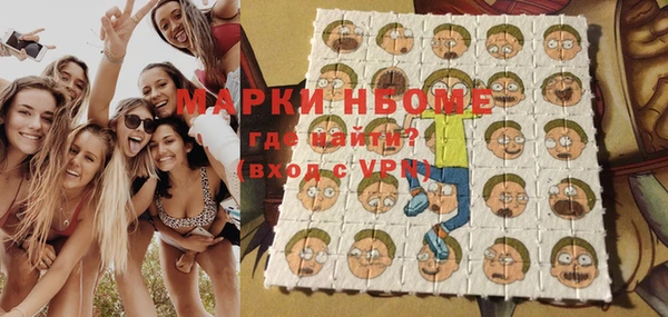 молекула духа Елабуга