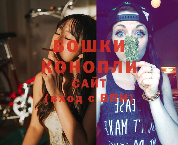 молекула духа Елабуга