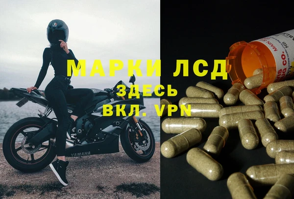 винт Елизово