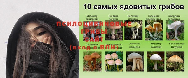первитин Ельня