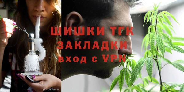 молекула духа Елабуга
