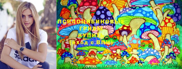 spice Заводоуковск