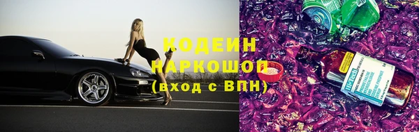 винт Елизово